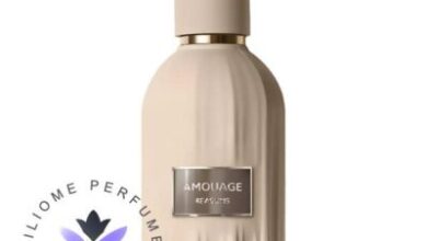 عطر ادکلن آمواج ریزنز | Amouage Reasons